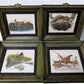 framed minature Richard Sloan art prints - 12 Miniature 4x5 Richard Sloan Framed North American Bird Prints, Nature House,...