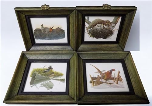 framed minature Richard Sloan art prints - 12 Miniature 4x5 Richard Sloan Framed North American Bird Prints, Nature House,...