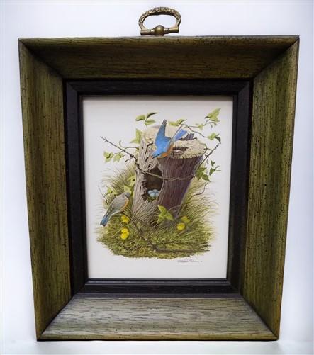 framed minature Richard Sloan art prints - 12 Miniature 4x5 Richard Sloan Framed North American Bird Prints, Nature House,...