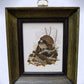 framed minature Richard Sloan art prints - 12 Miniature 4x5 Richard Sloan Framed North American Bird Prints, Nature House,...