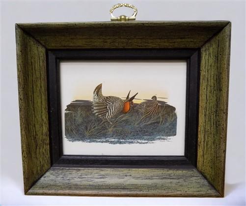 framed minature Richard Sloan art prints - 12 Miniature 4x5 Richard Sloan Framed North American Bird Prints, Nature House,...