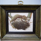 framed minature Richard Sloan art prints - 12 Miniature 4x5 Richard Sloan Framed North American Bird Prints, Nature House,...