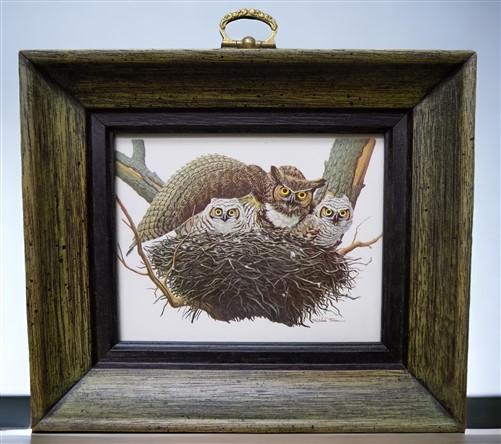 framed minature Richard Sloan art prints - 12 Miniature 4x5 Richard Sloan Framed North American Bird Prints, Nature House,...
