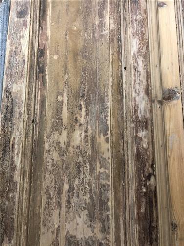 Antique French Double Doors (38.5x102) Raised Panel Doors, European Doors A554