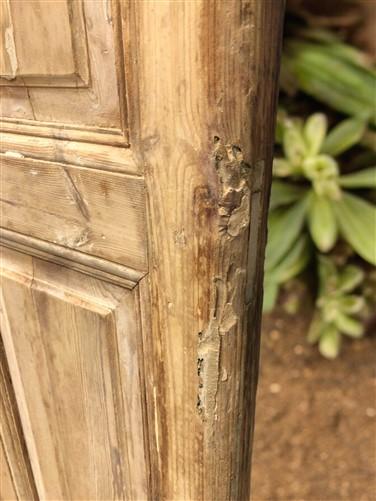 Antique French Double Doors (36x94) Raised Panel Doors, European Doors A586