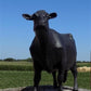 Cast Iron Cow Doorstop, Butcher Shop Advertising, Farm Art Milk Cow Bull Statue