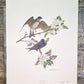 Art & Collectibles > Prints > Lithographs - Richard Sloan, Purple Martin, Signed Prints, 28x22, Wade Collection, Plate 1 b...