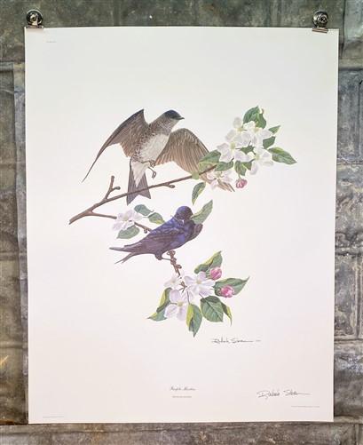 Art & Collectibles > Prints > Lithographs - Richard Sloan, Purple Martin, Signed Prints, 28x22, Wade Collection, Plate 1 b...