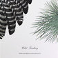 Art & Collectibles > Prints > Lithographs - Richard Sloan, Wild Turkey, Signed Print, 28x22, Wade Collection, Plate 46 by...