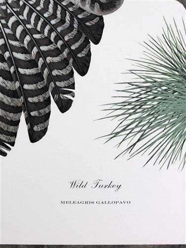 Art & Collectibles > Prints > Lithographs - Richard Sloan, Wild Turkey, Signed Print, 28x22, Wade Collection, Plate 46 by...