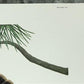 Art & Collectibles > Prints > Lithographs - Richard Sloan, Wild Turkey, Signed Print, 28x22, Wade Collection, Plate 46 by...