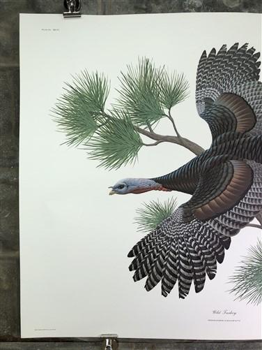 Art & Collectibles > Prints > Lithographs - Richard Sloan, Wild Turkey, Signed Print, 28x22, Wade Collection, Plate 46 by...