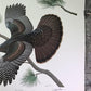 Art & Collectibles > Prints > Lithographs - Richard Sloan, Wild Turkey, Signed Print, 28x22, Wade Collection, Plate 46 by...