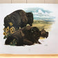 Art & Collectibles > Prints > Lithographs - Richard Timm, Bison, Signed Print, 28x22 Wade Collection, Plate 20 by The Old...