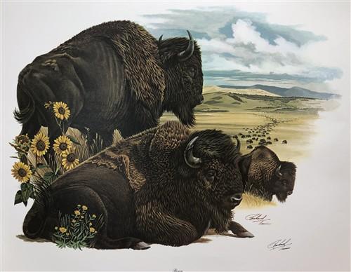 Art & Collectibles > Prints > Lithographs - Richard Timm, Bison, Signed Print, 28x22 Wade Collection, Plate 20 by The Old...