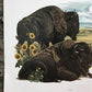 Art & Collectibles > Prints > Lithographs - Richard Timm, Bison, Signed Print, 28x22 Wade Collection, Plate 20 by The Old...