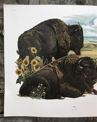 Art & Collectibles > Prints > Lithographs - Richard Timm, Bison, Signed Print, 28x22 Wade Collection, Plate 20 by The Old...