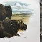 Art & Collectibles > Prints > Lithographs - Richard Timm, Bison, Signed Print, 28x22 Wade Collection, Plate 20 by The Old...