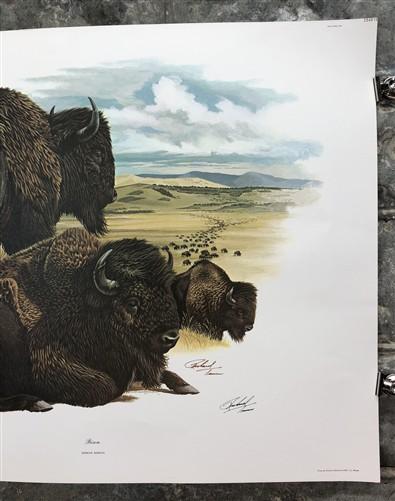 Art & Collectibles > Prints > Lithographs - Richard Timm, Bison, Signed Print, 28x22 Wade Collection, Plate 20 by The Old...