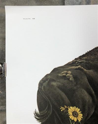 Art & Collectibles > Prints > Lithographs - Richard Timm, Bison, Signed Print, 28x22 Wade Collection, Plate 20 by The Old...