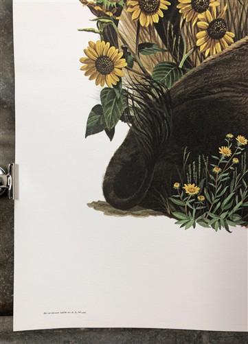 Art & Collectibles > Prints > Lithographs - Richard Timm, Bison, Signed Print, 28x22 Wade Collection, Plate 20 by The Old...