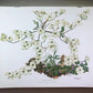 Maryrose Wampler, Dogwood & Violets, Signed Print, 28x22, Wall Art, Plate 5