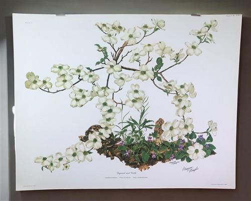 Maryrose Wampler, Dogwood & Violets, Signed Print, 28x22, Wall Art, Plate 5