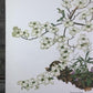 Maryrose Wampler, Dogwood & Violets, Signed Print, 28x22, Wall Art, Plate 5