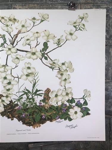 Maryrose Wampler, Dogwood & Violets, Signed Print, 28x22, Wall Art, Plate 5