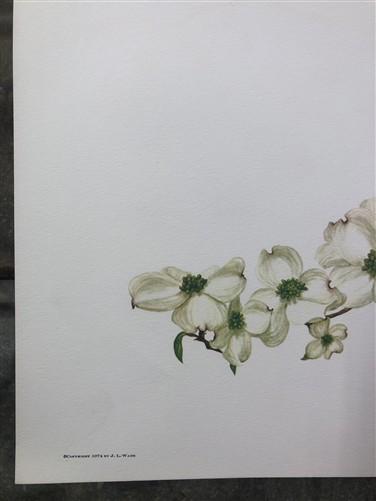 Maryrose Wampler, Dogwood & Violets, Signed Print, 28x22, Wall Art, Plate 5