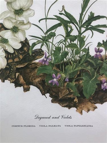 Maryrose Wampler, Dogwood & Violets, Signed Print, 28x22, Wall Art, Plate 5