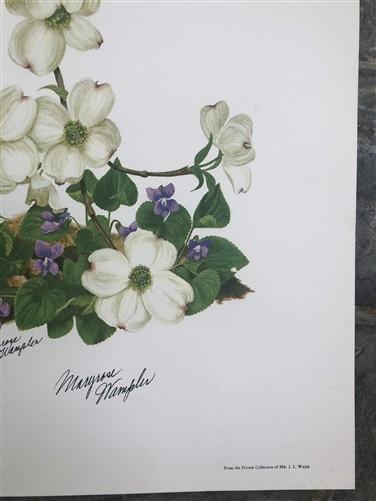 Maryrose Wampler, Dogwood & Violets, Signed Print, 28x22, Wall Art, Plate 5
