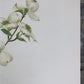 Maryrose Wampler, Dogwood & Violets, Signed Print, 28x22, Wall Art, Plate 5