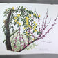 Art & Collectibles > Prints > Lithographs - Maryrose Wampler, Jessamine & Redbud, Signed Print, 28x22 Wall Art, Plate 14 b...
