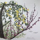 Art & Collectibles > Prints > Lithographs - Maryrose Wampler, Jessamine & Redbud, Signed Print, 28x22 Wall Art, Plate 14 b...