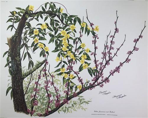 Art & Collectibles > Prints > Lithographs - Maryrose Wampler, Jessamine & Redbud, Signed Print, 28x22 Wall Art, Plate 14 b...