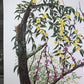 Art & Collectibles > Prints > Lithographs - Maryrose Wampler, Jessamine & Redbud, Signed Print, 28x22 Wall Art, Plate 14 b...