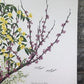 Art & Collectibles > Prints > Lithographs - Maryrose Wampler, Jessamine & Redbud, Signed Print, 28x22 Wall Art, Plate 14 b...