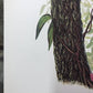 Art & Collectibles > Prints > Lithographs - Maryrose Wampler, Jessamine & Redbud, Signed Print, 28x22 Wall Art, Plate 14 b...