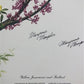 Art & Collectibles > Prints > Lithographs - Maryrose Wampler, Jessamine & Redbud, Signed Print, 28x22 Wall Art, Plate 14 b...