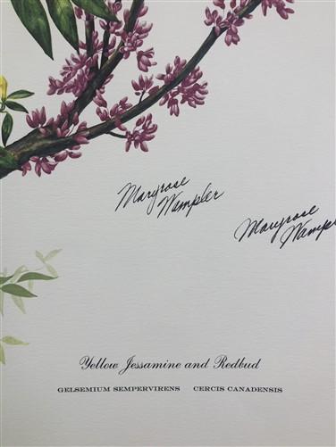 Art & Collectibles > Prints > Lithographs - Maryrose Wampler, Jessamine & Redbud, Signed Print, 28x22 Wall Art, Plate 14 b...