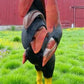 Metal rooster - 8' Aluminum Rooster Statue, Decorative Rooster, Metal Outdoor Farm Garden Art by The Old Grainery (bird sc...