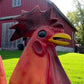 Metal rooster - 8' Aluminum Rooster Statue, Decorative Rooster, Metal Outdoor Farm Garden Art by The Old Grainery (bird sc...