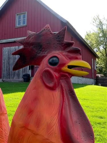 Metal rooster - 8' Aluminum Rooster Statue, Decorative Rooster, Metal Outdoor Farm Garden Art by The Old Grainery (bird sc...