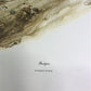 Art & Collectibles > Prints > Lithographs - Richard Timm, Badger, Signed Print, 28x22 Wade Collection, Plate 10 by The Old...