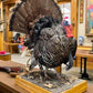 Full Body Wild Turkey Mount, Strutting Tom Turkey Taxidermy on Decorative Base