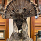 Full Body Wild Turkey Mount, Strutting Tom Turkey Taxidermy on Decorative Base