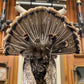 Full Body Wild Turkey Mount, Strutting Tom Turkey Taxidermy on Decorative Base