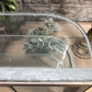 Columbus Show Case Curved Glass Countertop, Vintage Bakery Jewelry Display