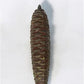 Cuckoo Clock Cast Iron Pine Cone Weight Lot 320 ET Unmarked Vintage Clock Parts